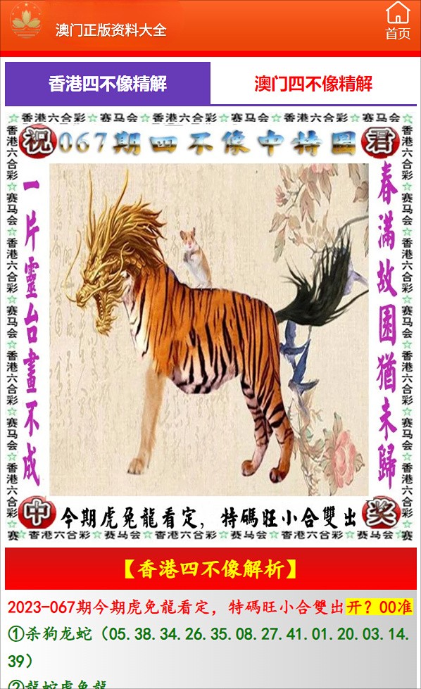澳門四不像與生肖預(yù)測(cè)，探索未來的神秘之旅，澳門四不像與生肖預(yù)測(cè)，揭秘未來神秘之旅的奧秘