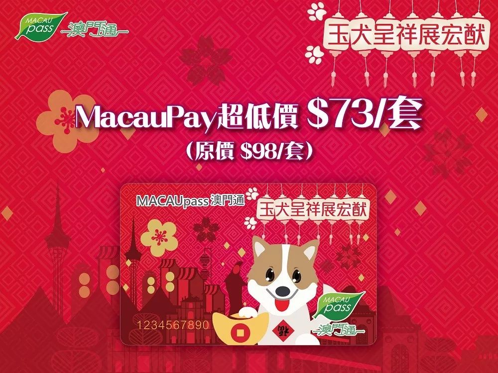 澳門正版資料大全與生肖卡的奧秘，澳門正版資料大全揭秘，生肖卡的神秘面紗
