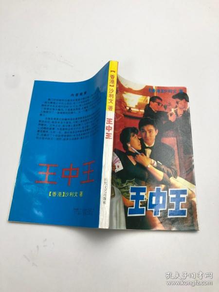 王中王資料與肖申特，深度解析與探索，王中王資料與肖申特，深度探索與解析