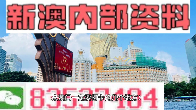 新澳門最精準(zhǔn)正最精準(zhǔn)龍門——探索澳門的魅力與機(jī)遇，澳門魅力與機(jī)遇探索，新澳門最精準(zhǔn)龍門