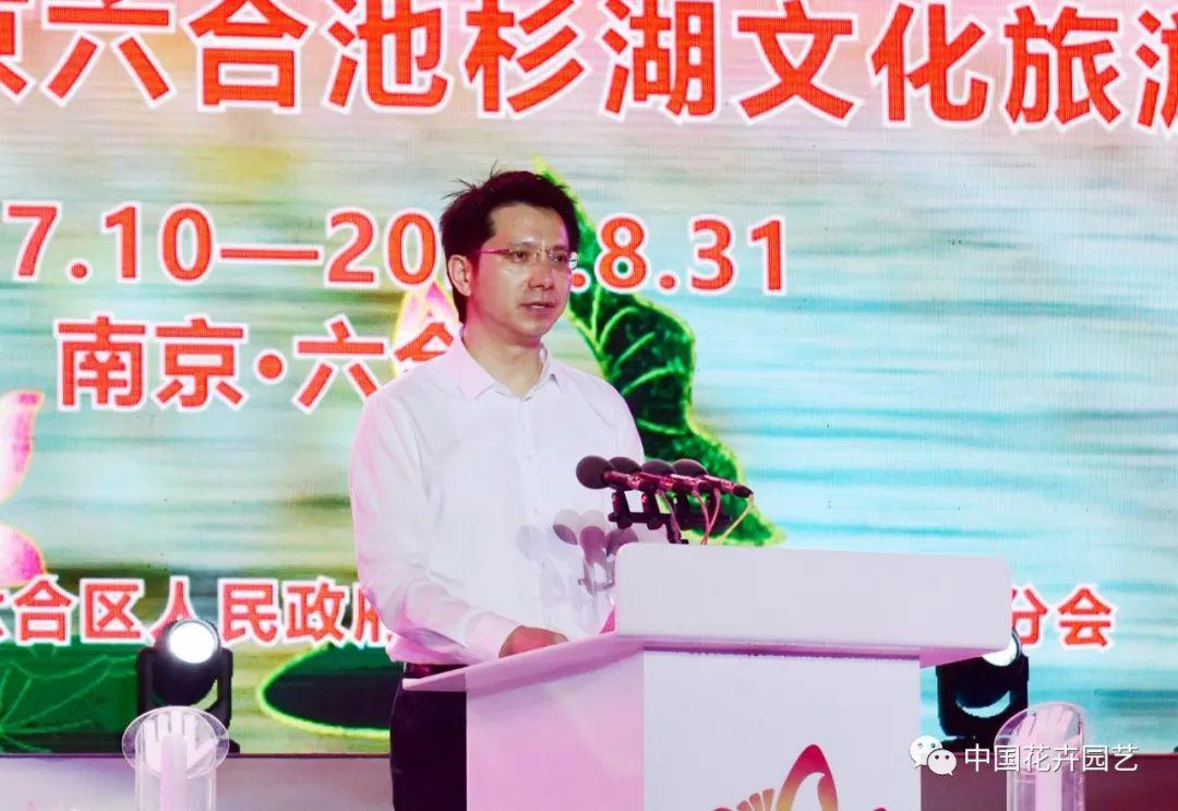 澳門六和開獎結(jié)果，探索彩票背后的秘密，澳門六和彩票開獎探索，揭開彩票背后的神秘面紗