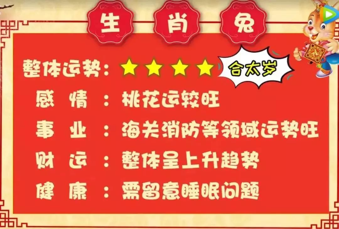 二肖二碼，深度解析與SEO優(yōu)化策略，二肖二碼深度解析與SEO優(yōu)化策略探討