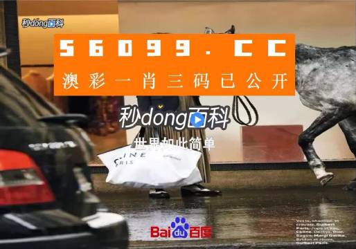 新澳一肖一碼，揭秘背后的秘密與策略，揭秘新澳一肖一碼背后的秘密與策略之道