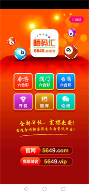 2025年展望與挑戰(zhàn)