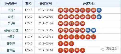 揭秘王中王資籵一肖中特，揭秘背后的秘密與真相，揭秘王中王資籟一肖中特，真相大揭秘！