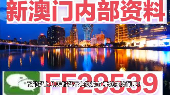 澳門今晚必開一肖，深度解析與預(yù)測(cè)，澳門今晚必開一肖，深度預(yù)測(cè)與解析報(bào)告
