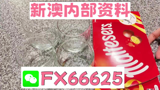 澳門(mén)49圖正版資料，探索與解析，澳門(mén)49圖正版資料深度解析與探索