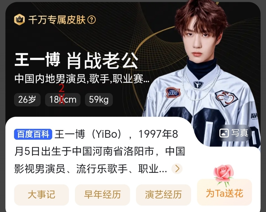 王中王一肖資料中特，深度解析與SEO優(yōu)化文章，王中王一肖資料深度解析與SEO優(yōu)化策略探討
