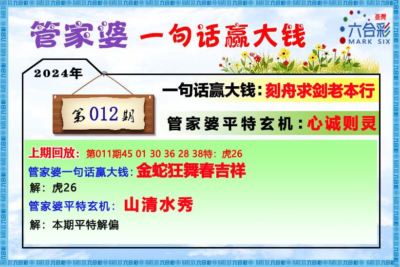 王中王資料與肖管家婆，深度解析，王中王資料與肖管家婆深度解析揭秘