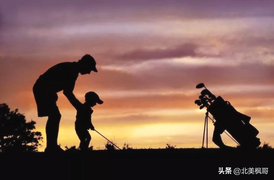 森林高手王中王與神秘生肖——深度解讀背后的故事，森林高手王中王與神秘生肖，背后的故事深度解讀