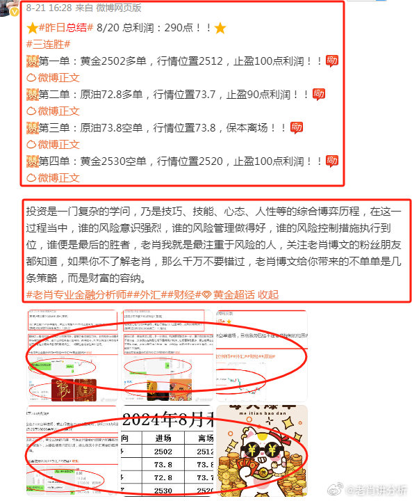 深度解析與探索揭秘