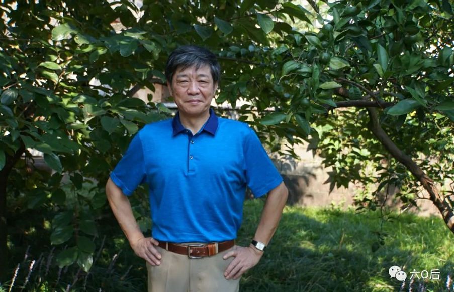 揭秘劉伯溫傳奇，一肖中待的秘密，劉伯溫傳奇揭秘，一肖中待的神秘奧秘