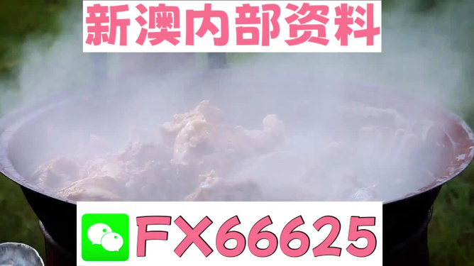 新澳全年免費資料大全——探索與學習資源的寶庫，新澳全年免費資料大全，探索與學習資源的終極寶庫