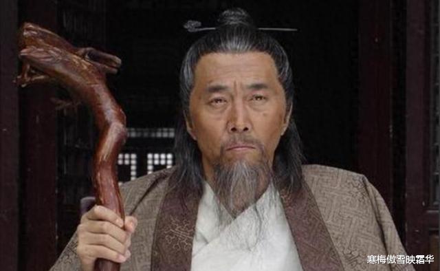 劉伯溫代表一肖還是二肖？——歷史與文化的深度解讀，劉伯溫代表生肖之謎，歷史與文化的深度解讀