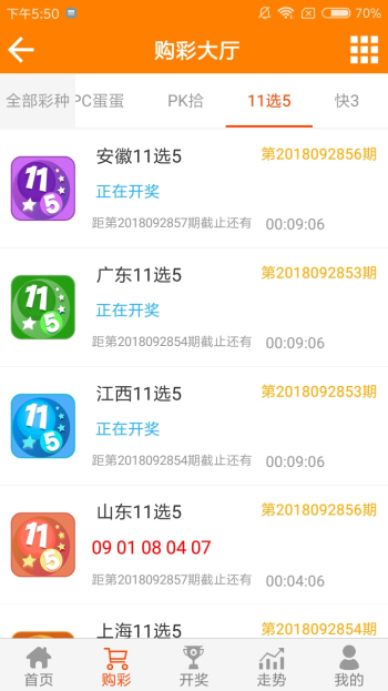 王中王正版平特一肖，深度解析與SEO優(yōu)化策略，王中王正版平特一肖深度解析與SEO優(yōu)化策略探討