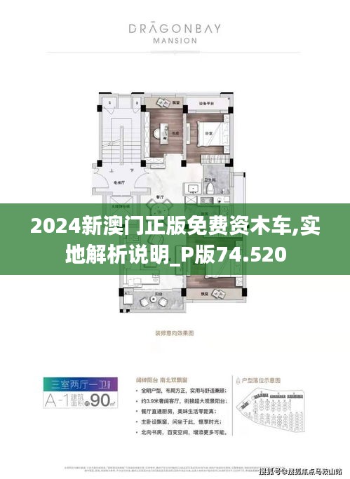 探索澳門，2025新澳門正版免費資源的新篇章，澳門新篇章，探索2025正版免費資源之旅