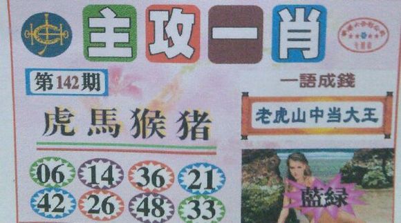 王中王100期期一肖——揭秘彩票秘密，探尋生肖玄機(jī)，揭秘彩票生肖玄機(jī)，王中王100期期一肖探秘