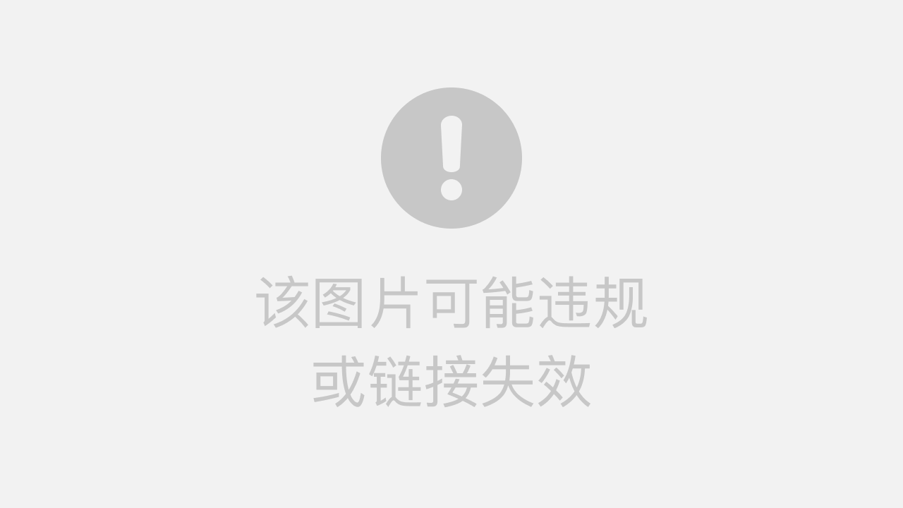 一碼一肖100%的資料詳解，一碼一肖詳解資料，百分百準(zhǔn)確預(yù)測揭秘