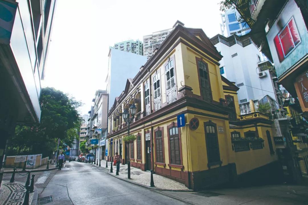 澳門一肖必開一肖，揭秘背后的秘密與策略，澳門生肖彩票背后的秘密與策略揭秘