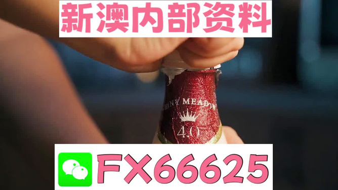 新澳門一碼一碼，揭秘精準(zhǔn)預(yù)測的秘密與真相，揭秘澳門一碼一碼精準(zhǔn)預(yù)測的秘密與真相