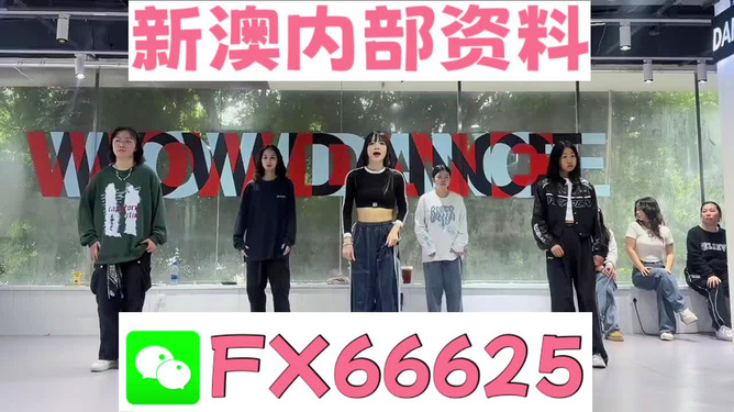 管家婆一肖資料大全，深度解析與探索，管家婆一肖資料深度解析與探索大全