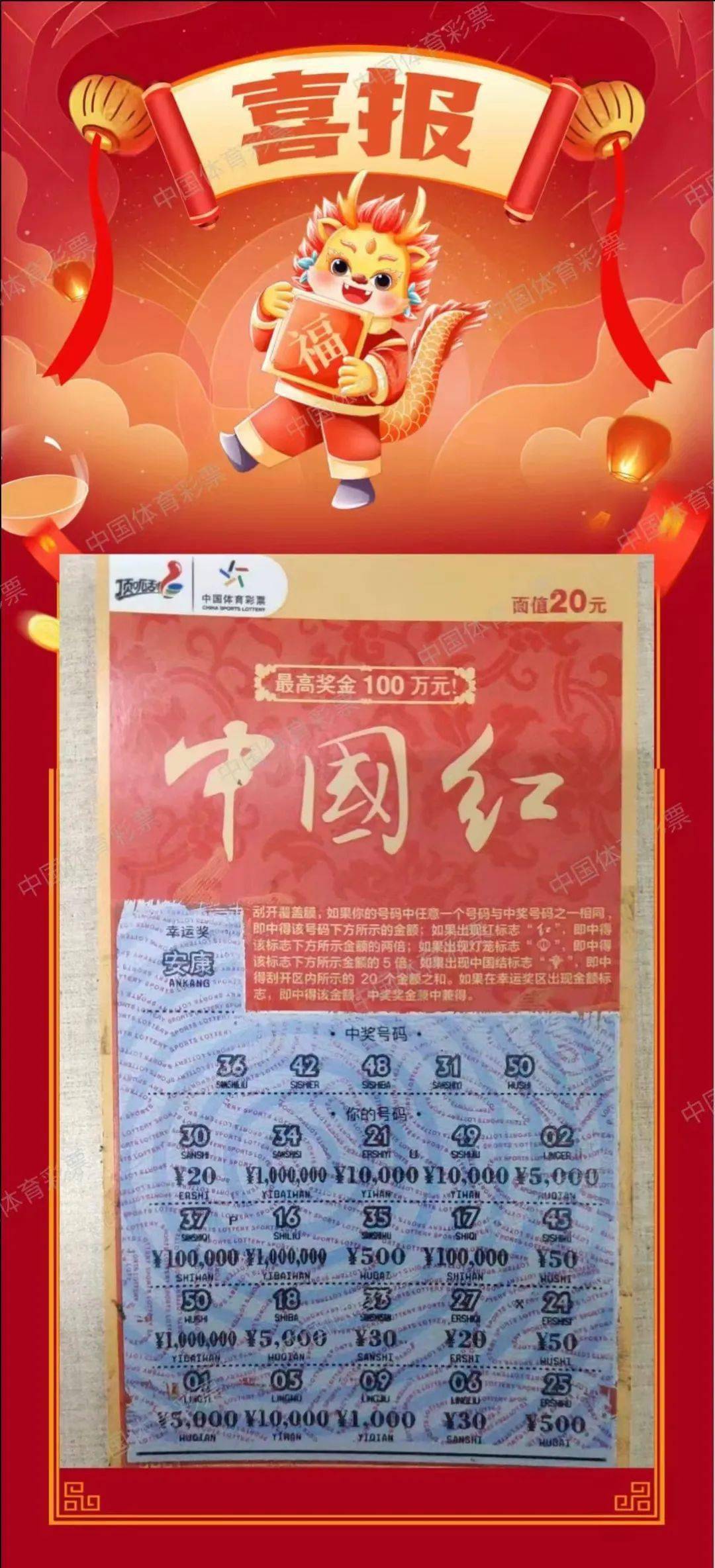 紅燈籠平特一肖王中王，揭秘背后的故事與SEO策略，紅燈籠平特一肖王中王背后的故事與SEO策略揭秘