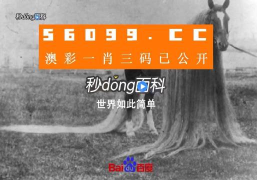 澳門一肖一碼一必中一肖舟山，揭秘彩票背后的秘密與策略，揭秘彩票背后的秘密與策略，澳門一肖一碼一必中一肖舟山探討彩票投注技巧