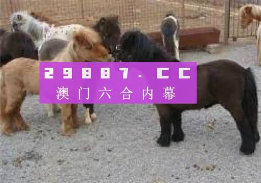 馬會(huì)王中王平特一肖論壇，深度探討與SEO優(yōu)化策略，馬會(huì)王中王平特一肖論壇，深度探討SEO優(yōu)化策略