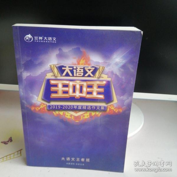 揭秘2019王中王資料一肖，傳奇背后的故事，揭秘傳奇背后的故事，王中王資料一肖探秘（2019版）